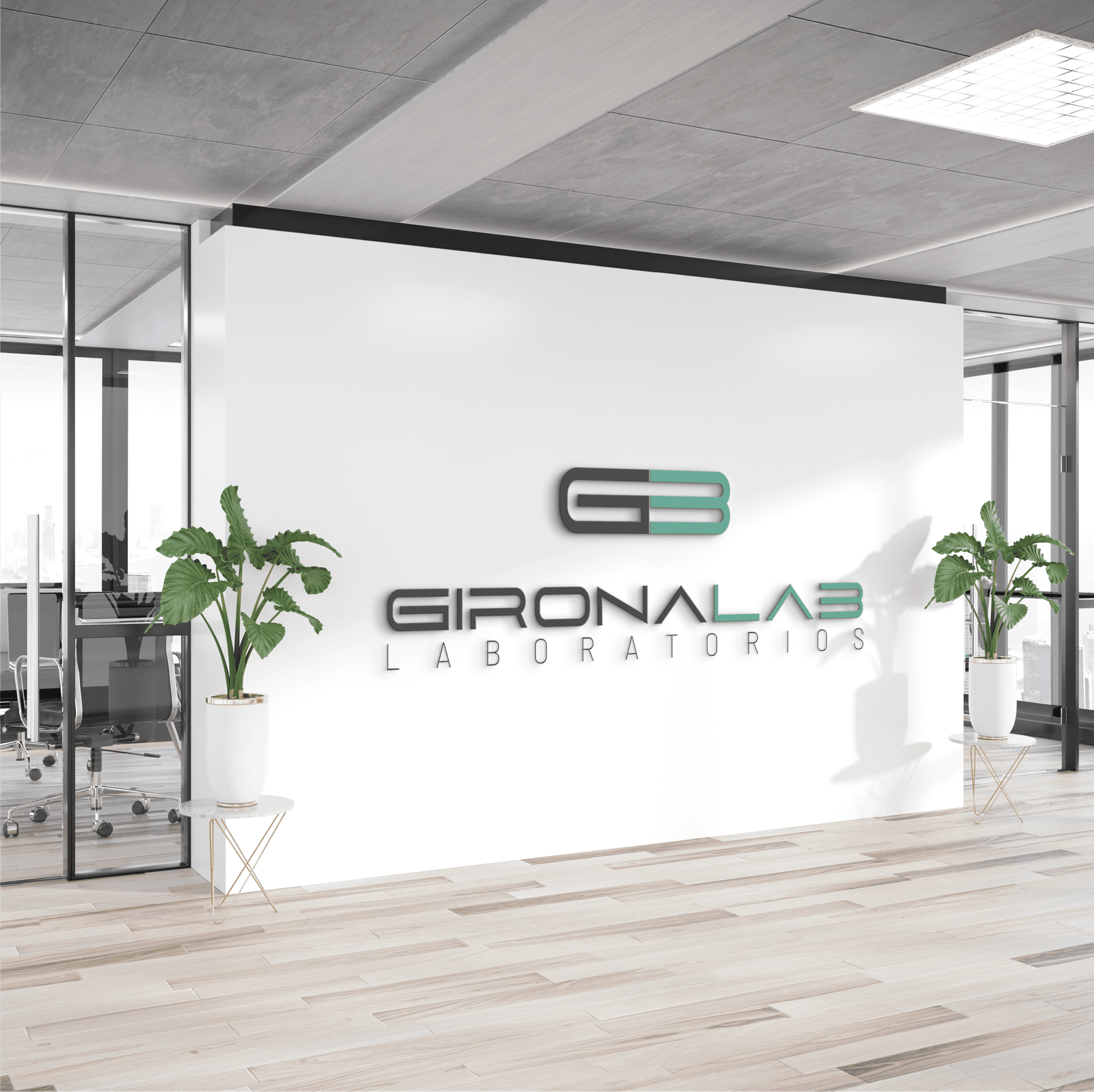 lab_girona lab_girona